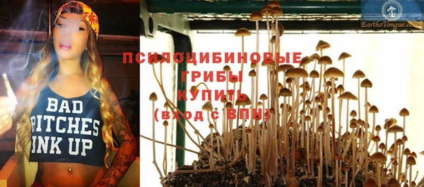 дживик Аркадак