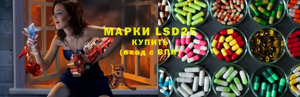 дживик Аркадак