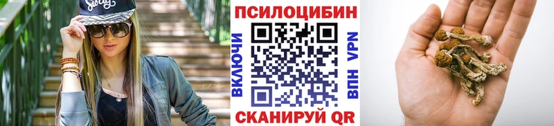Псилоцибиновые грибы GOLDEN TEACHER Полесск